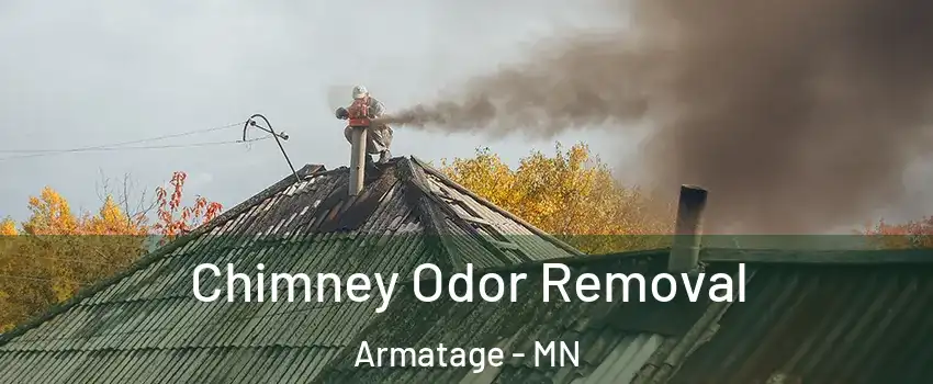 Chimney Odor Removal Armatage - MN
