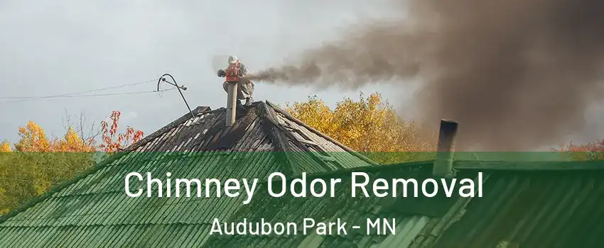 Chimney Odor Removal Audubon Park - MN