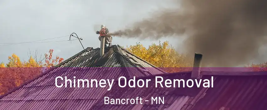 Chimney Odor Removal Bancroft - MN