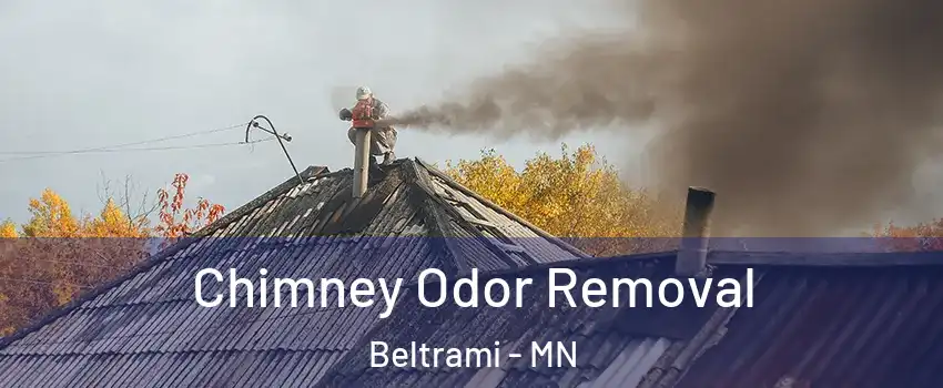 Chimney Odor Removal Beltrami - MN