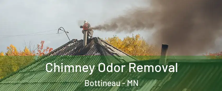 Chimney Odor Removal Bottineau - MN
