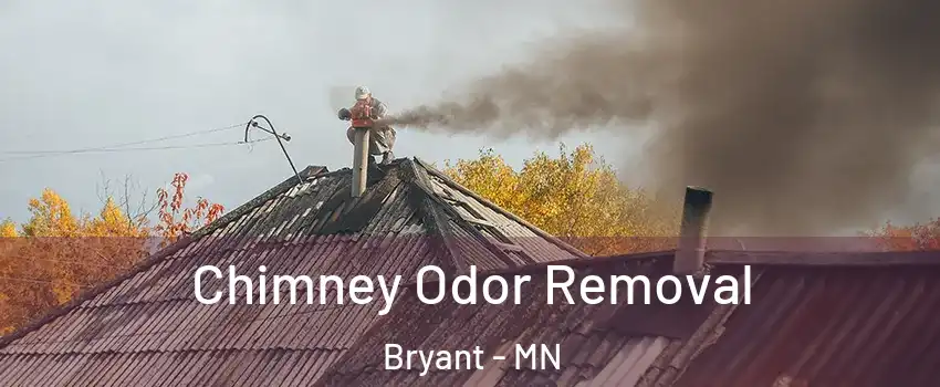 Chimney Odor Removal Bryant - MN