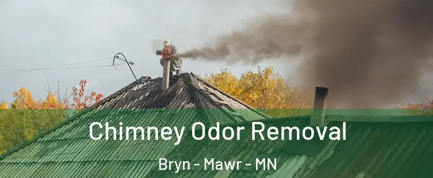 Chimney Odor Removal Bryn - Mawr - MN
