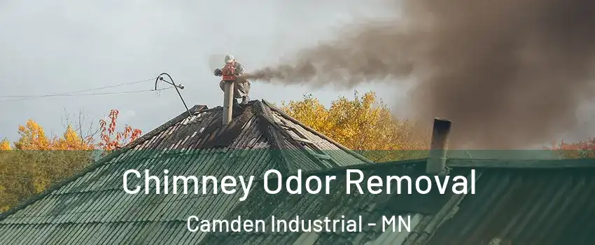 Chimney Odor Removal Camden Industrial - MN