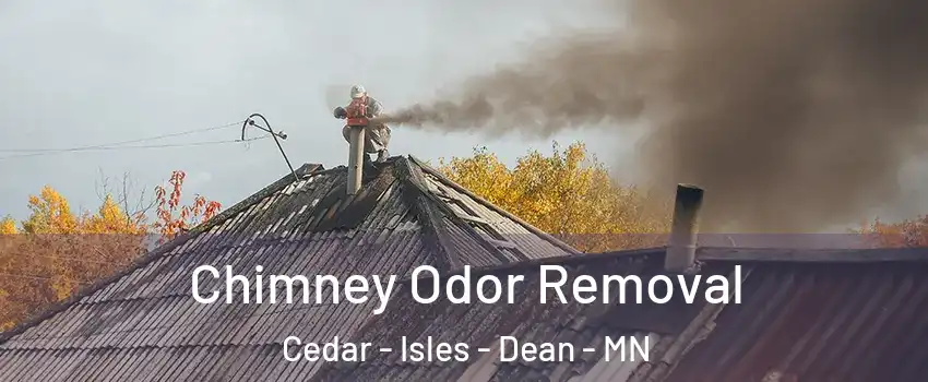 Chimney Odor Removal Cedar - Isles - Dean - MN