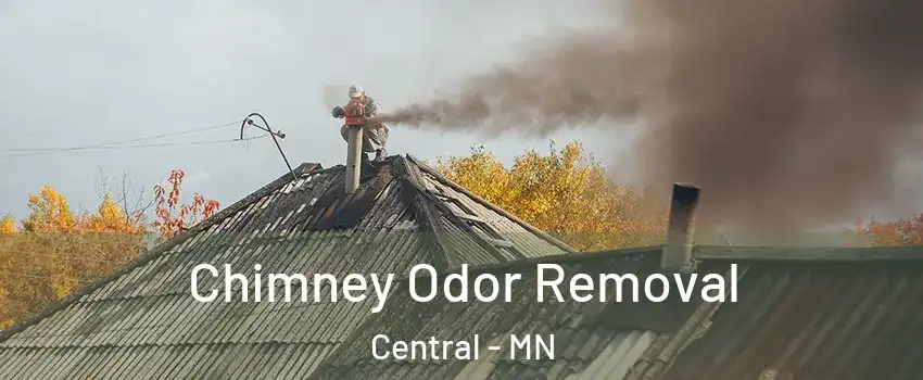 Chimney Odor Removal Central - MN