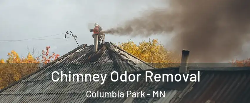 Chimney Odor Removal Columbia Park - MN