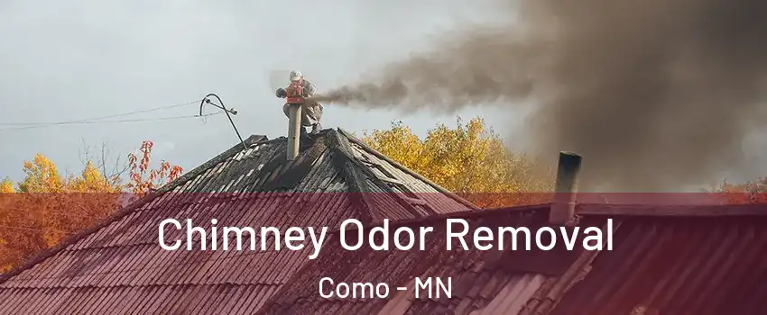 Chimney Odor Removal Como - MN