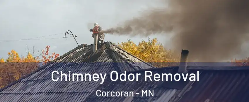 Chimney Odor Removal Corcoran - MN