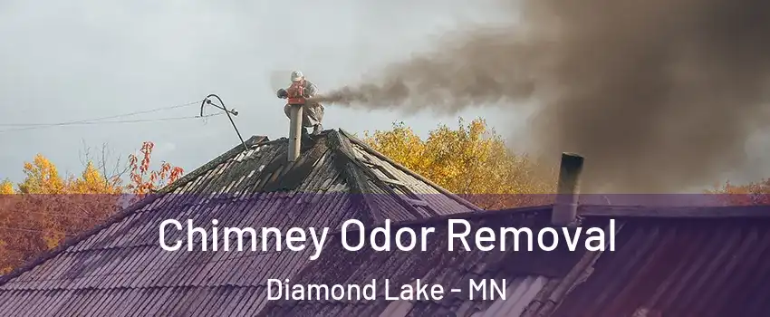 Chimney Odor Removal Diamond Lake - MN