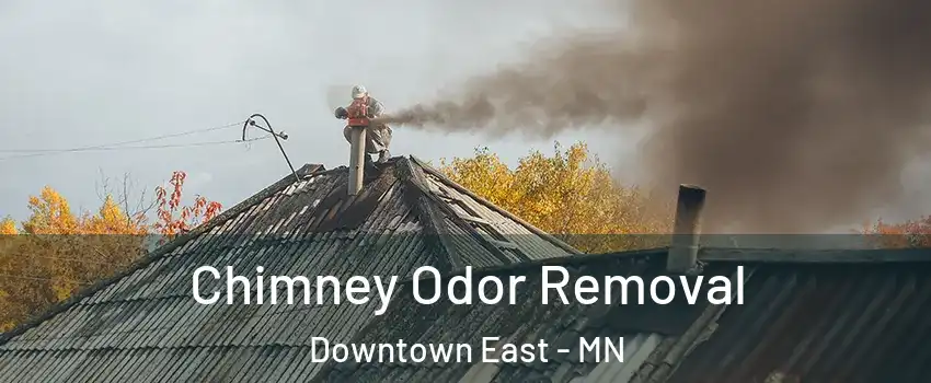 Chimney Odor Removal Downtown East - MN