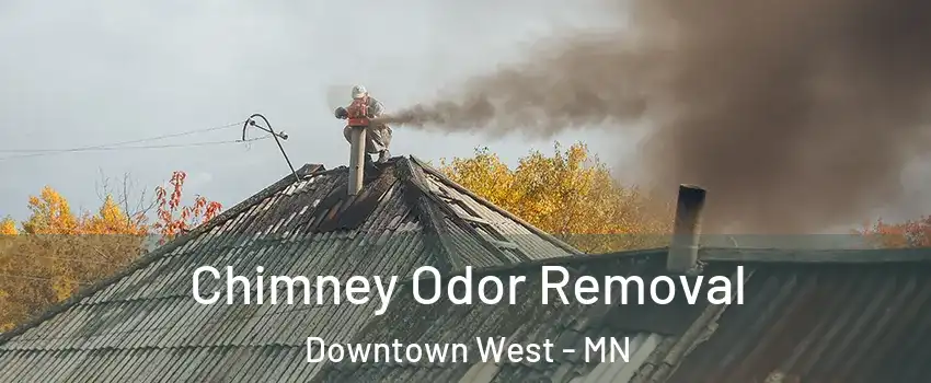 Chimney Odor Removal Downtown West - MN