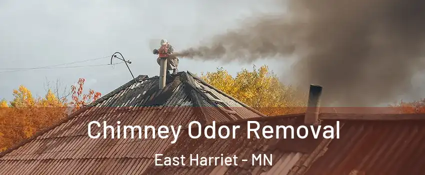 Chimney Odor Removal East Harriet - MN