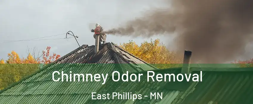 Chimney Odor Removal East Phillips - MN