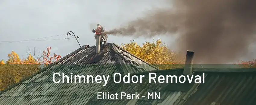 Chimney Odor Removal Elliot Park - MN