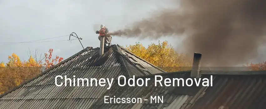 Chimney Odor Removal Ericsson - MN