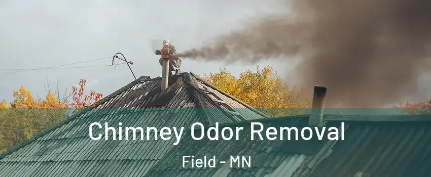 Chimney Odor Removal Field - MN