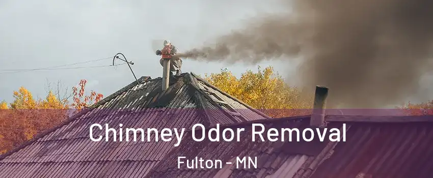 Chimney Odor Removal Fulton - MN