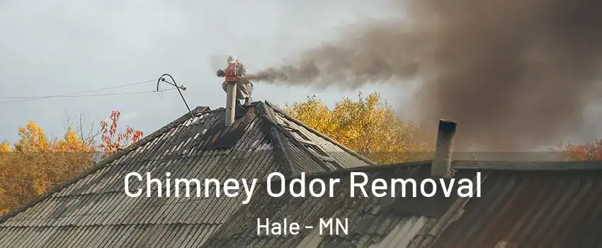 Chimney Odor Removal Hale - MN