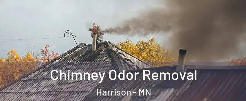 Chimney Odor Removal Harrison - MN