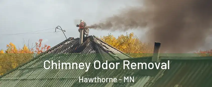 Chimney Odor Removal Hawthorne - MN