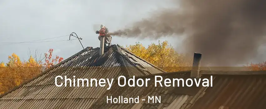 Chimney Odor Removal Holland - MN