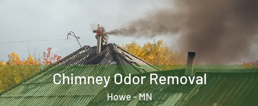 Chimney Odor Removal Howe - MN