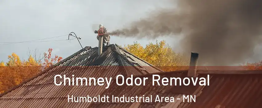 Chimney Odor Removal Humboldt Industrial Area - MN