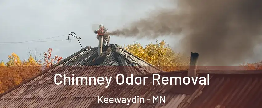 Chimney Odor Removal Keewaydin - MN