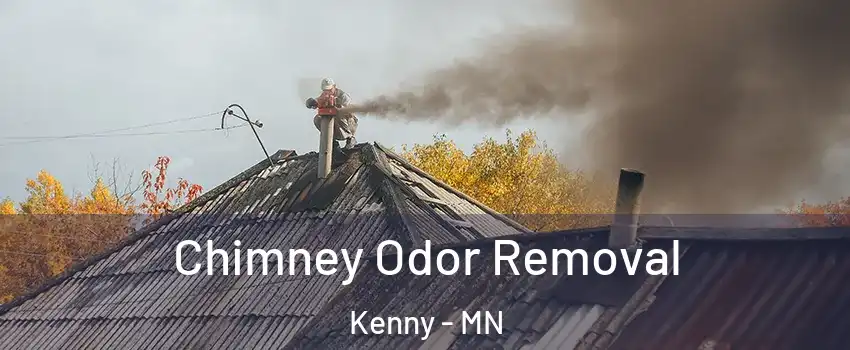 Chimney Odor Removal Kenny - MN
