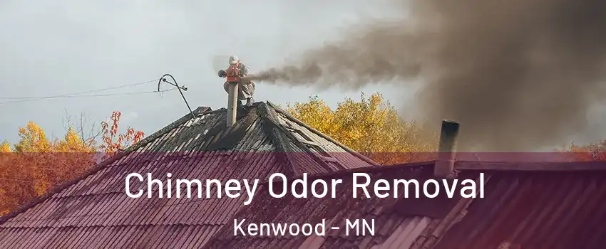 Chimney Odor Removal Kenwood - MN
