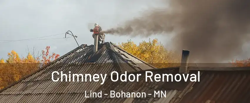 Chimney Odor Removal Lind - Bohanon - MN