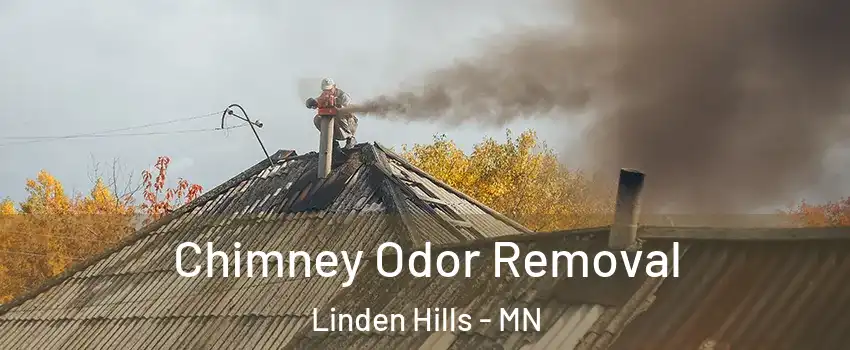Chimney Odor Removal Linden Hills - MN