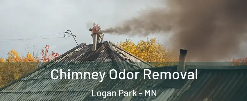 Chimney Odor Removal Logan Park - MN