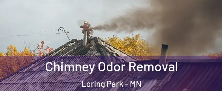 Chimney Odor Removal Loring Park - MN