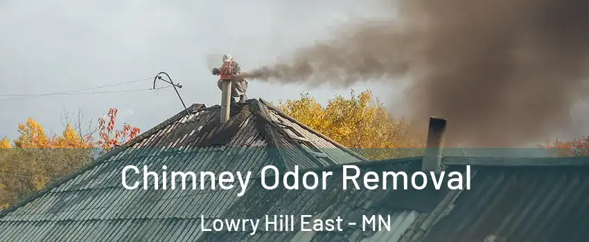 Chimney Odor Removal Lowry Hill East - MN
