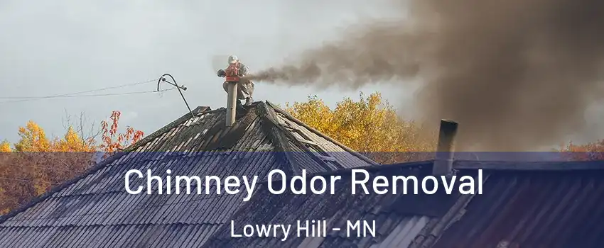 Chimney Odor Removal Lowry Hill - MN