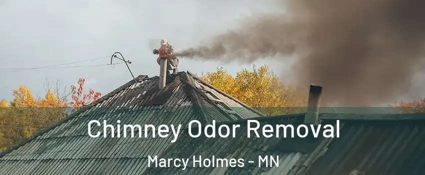 Chimney Odor Removal Marcy Holmes - MN