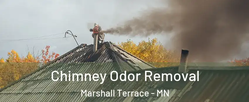 Chimney Odor Removal Marshall Terrace - MN