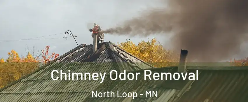 Chimney Odor Removal North Loop - MN