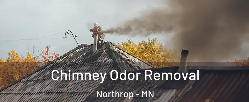 Chimney Odor Removal Northrop - MN
