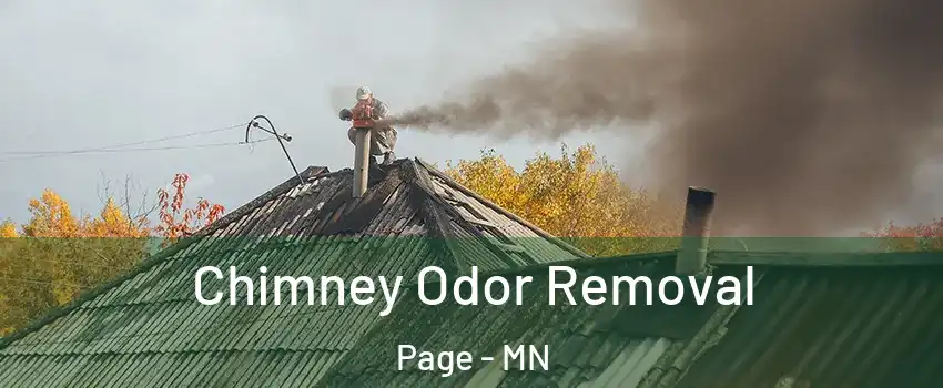 Chimney Odor Removal Page - MN