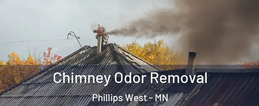 Chimney Odor Removal Phillips West - MN
