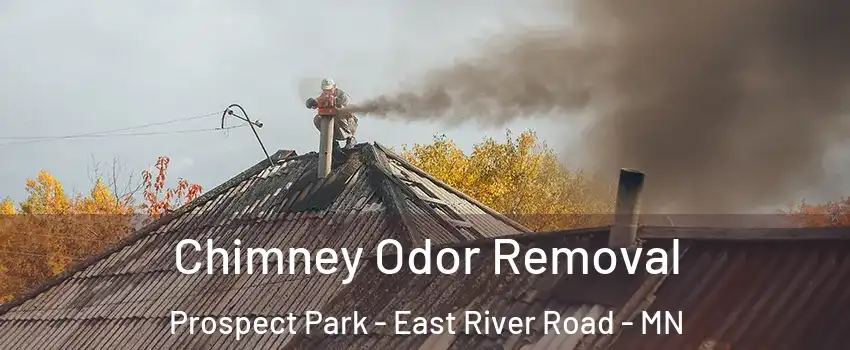 Chimney Odor Removal Prospect Park - East River Road - MN