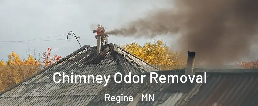 Chimney Odor Removal Regina - MN