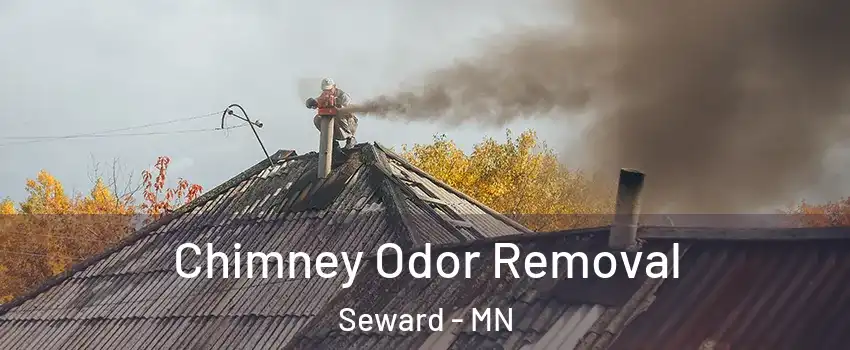 Chimney Odor Removal Seward - MN