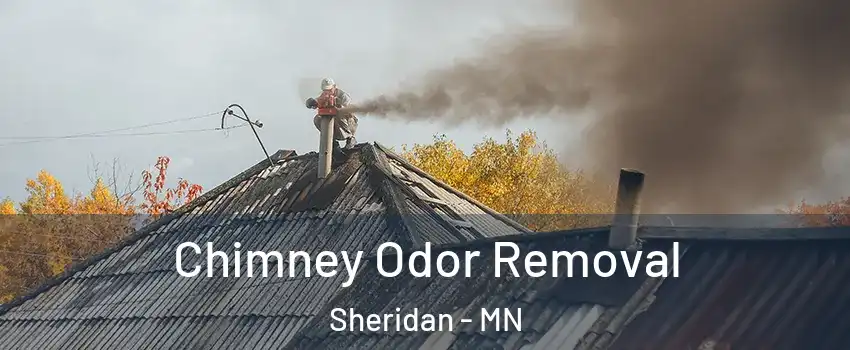 Chimney Odor Removal Sheridan - MN