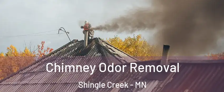 Chimney Odor Removal Shingle Creek - MN