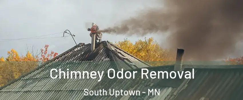 Chimney Odor Removal South Uptown - MN