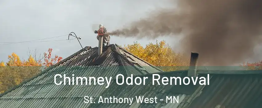 Chimney Odor Removal St. Anthony West - MN